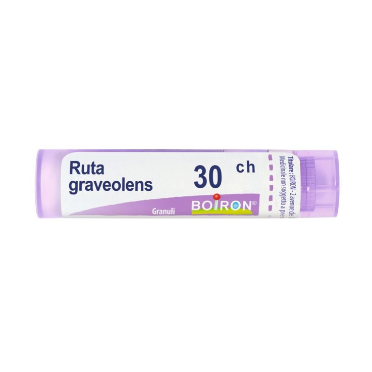 RUTA GRAVEOLENS BOIRON 30CH GR 4G