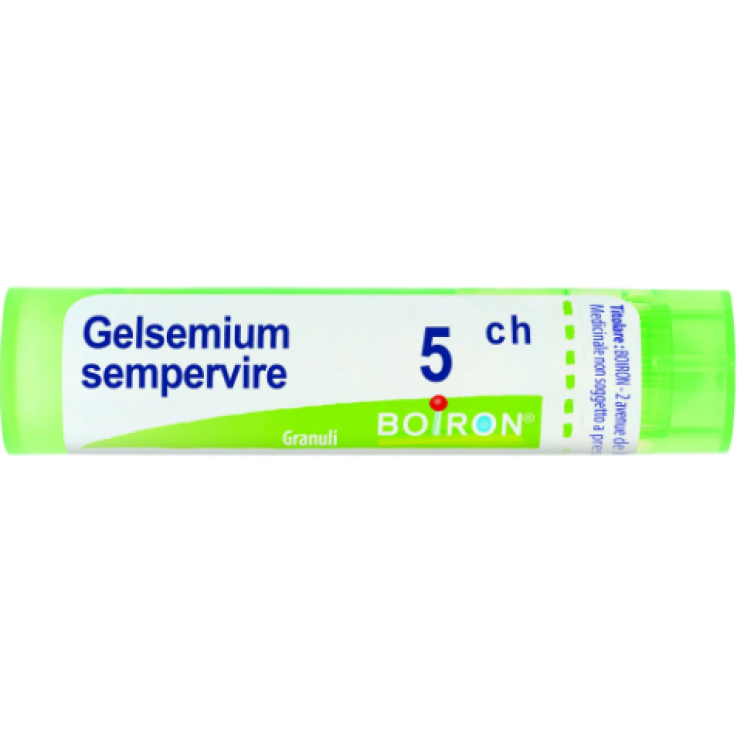 GELSEMIUM SEMPERVIRE BOIRON 5CH GR 4G GELSEMIUM SEMPERVIRE BOIRON 5CH GR 4G