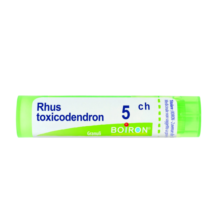RHUS TOXICODENDRON BOIRON 5CH GR 4G RHUS TOXICODENDRON BOIRON 5CH GR 4G