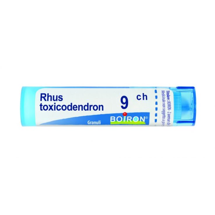 RHUS TOX BOIRON 9CH GR 4G