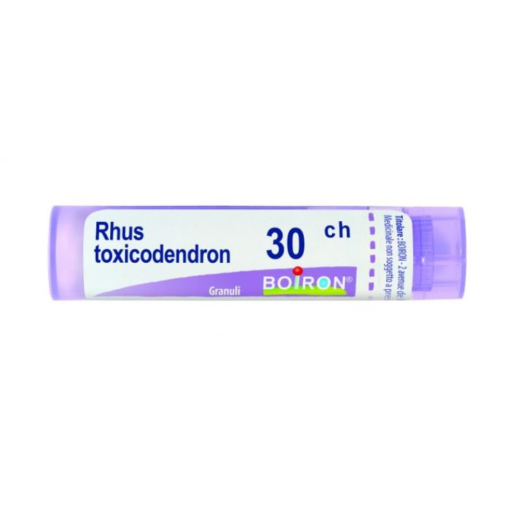 RHUS TOXICODENDRON BOIRON 30CH GR 4G RHUS TOXICODENDRON BOIRON 30CH GR 4G