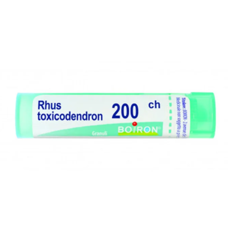 RHUS TOX BOIRON 200CH GR 4G
