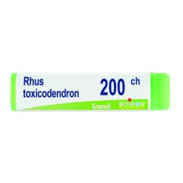RHUS TOXICODENDRON BOIRON 200CH GL 1G RHUS TOXICODENDRON BOIRON 200CH GL 1G