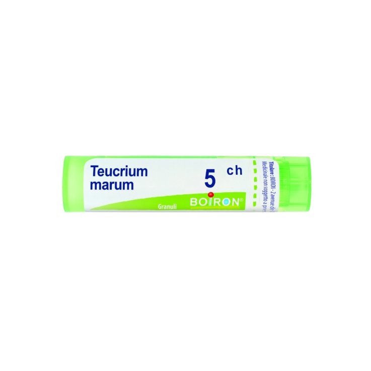 TEUCRIUM MARUM BOIRON 5CH GR 4G TEUCRIUM MARUM BOIRON 5CH GR 4G