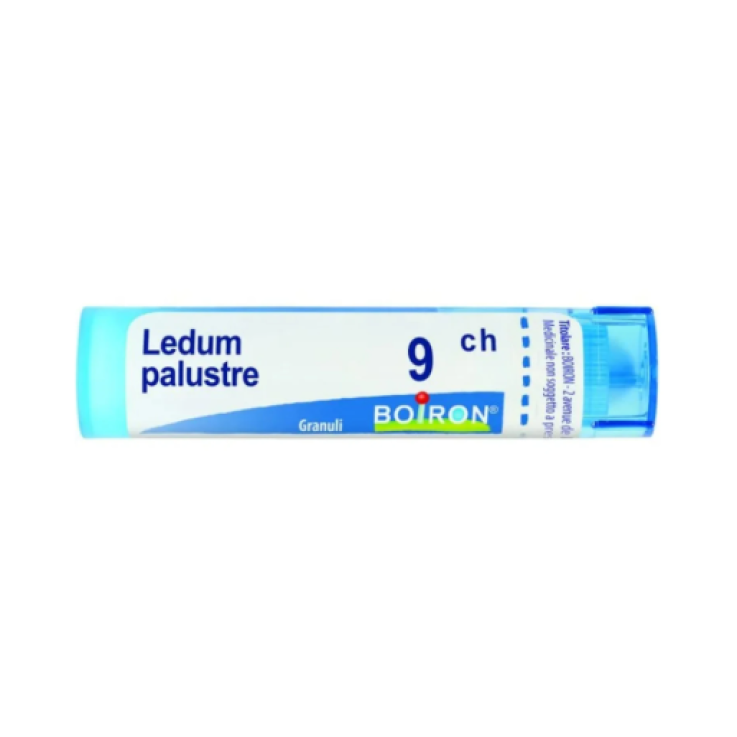LEDUM PALUSTRE BOIRON 9CH GR 4G