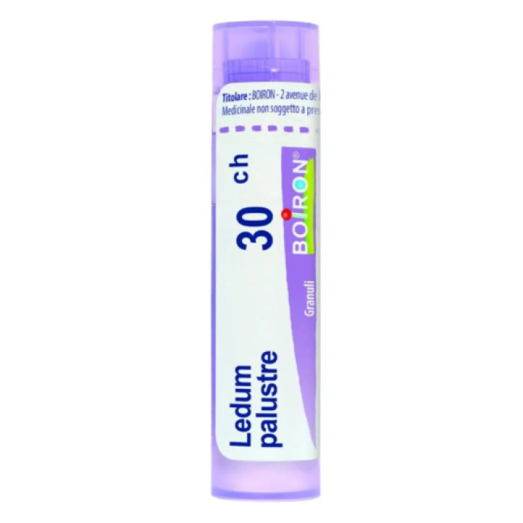 LEDUM PALUSTRE BOIRON 30CH GR 4G