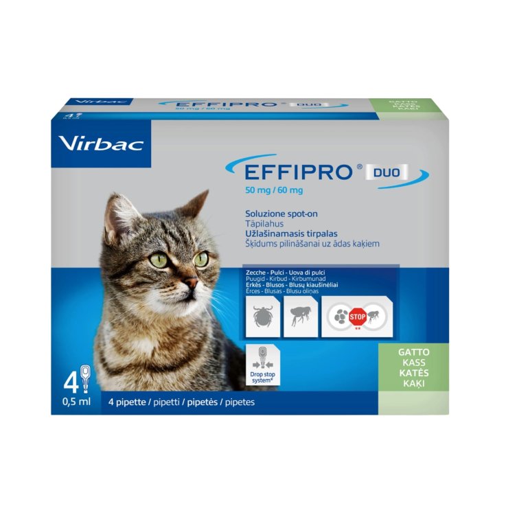 EFFIPRO DUO 4PIP 1-6KG GATTI