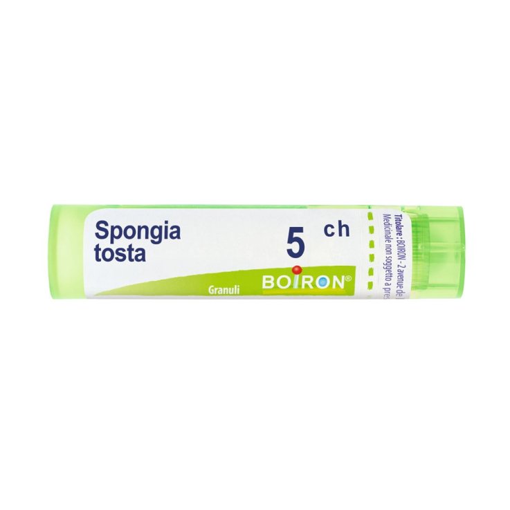 SPONGIA TOSTA BOIRON 5CH GR 4G