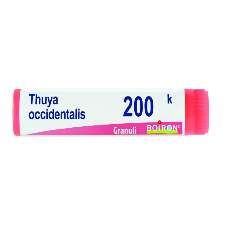 THUYA OCCIDENTALIS 200K GL 1G