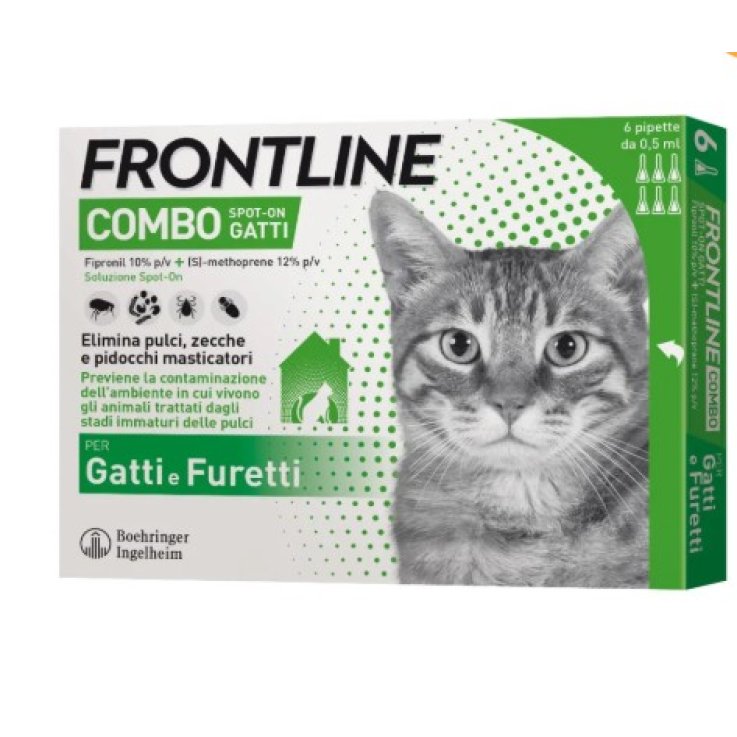 Frontline Combo*6pip Gatti/fur