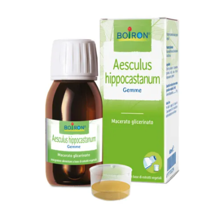 AESCULUS HIPP BOIRON MG 60ML AESCULUS HIPP BOIRON MG 60ML