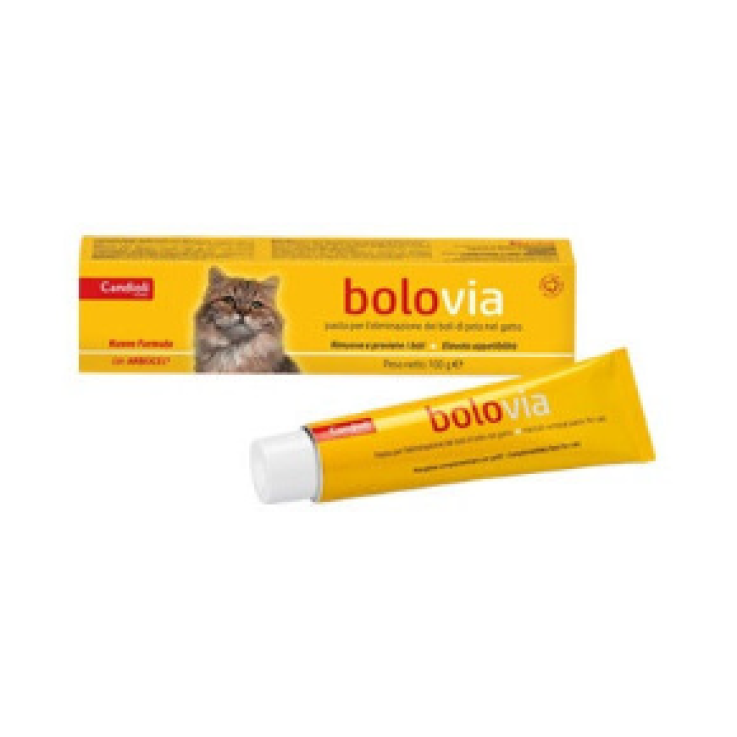 BOLO VIA PASTA GATTI 100G