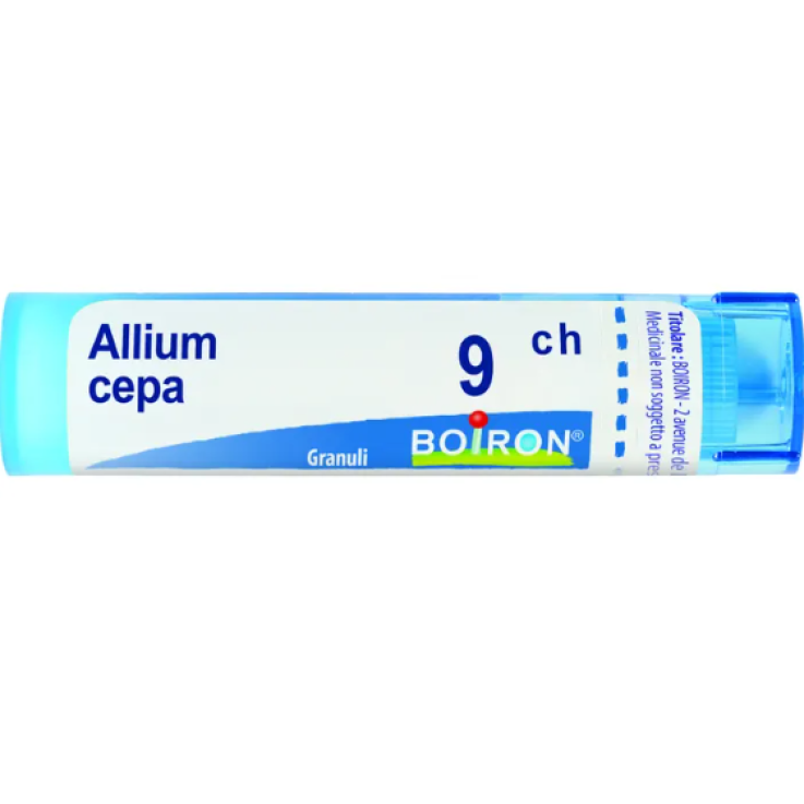 ALLIUM CEPA BOI*9CH GR 4G