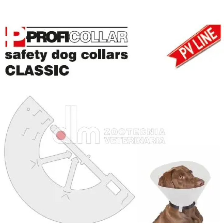 COLLARE ELISABETTA CLA 20 L