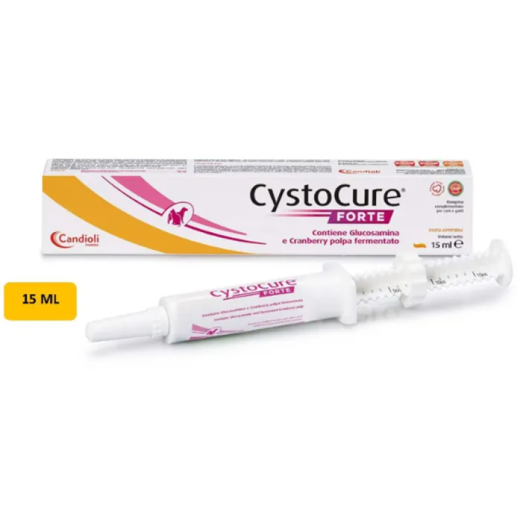 CYSTOCURE FORTE PASTA 15ML CYSTOCURE FORTE PASTA 15ML