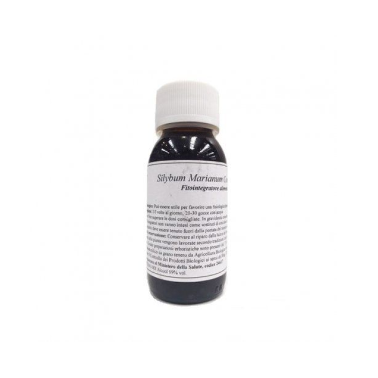 03N SILYBUM MARIANUM COMP LVS