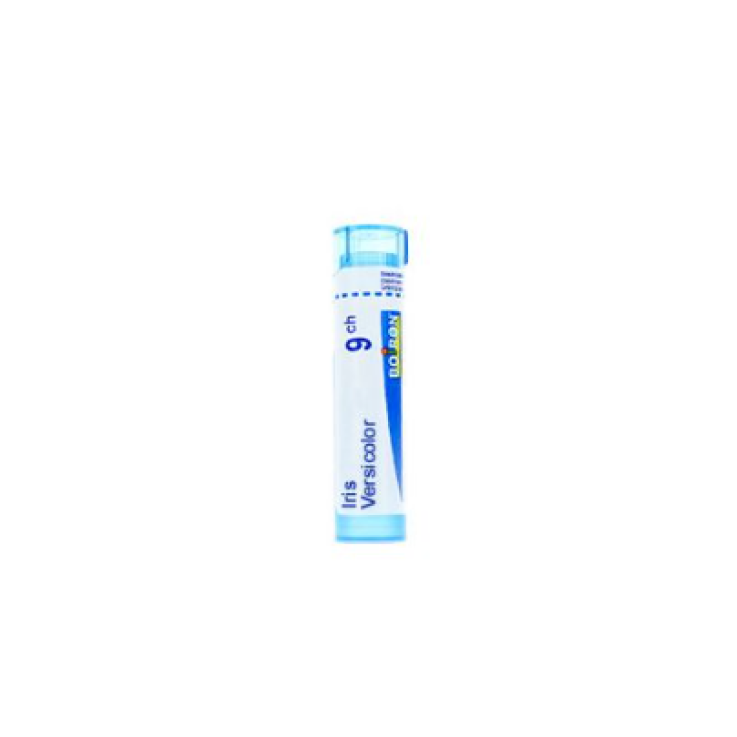 IRIS VERSIC BOI*9CH GR 4G