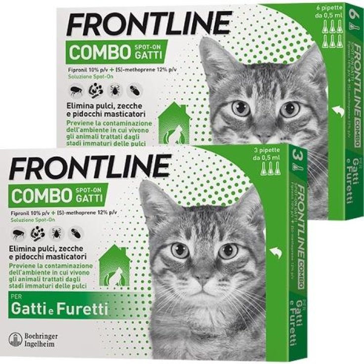 Frontline Combo*6pip Gatti/fur