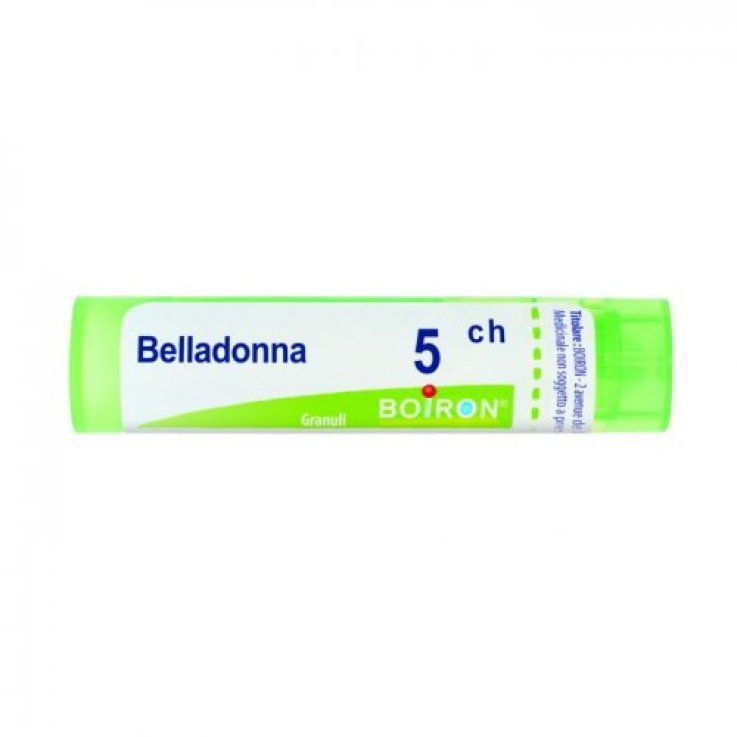 Belladonna Boi*5ch Gr 4g