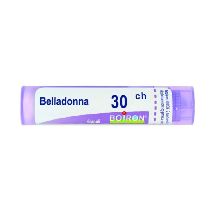BELLADONNA BOI*30CH GR 4G