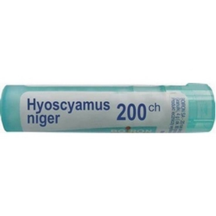 HYOSCYAMUS NIGER 200CH GR BO