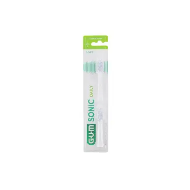 GUM SONIC DAILY SPAZZ REF WHIT