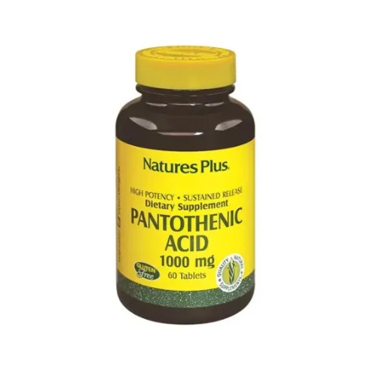 ACIDO PANTOTENICO 1000MG STREGA