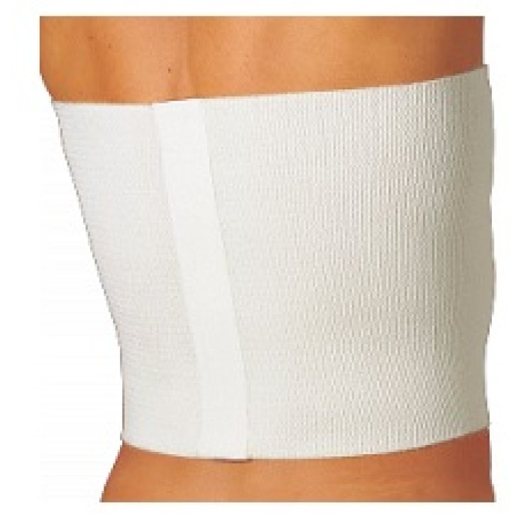 GIBAUD CINT PIUMA 28CM 4