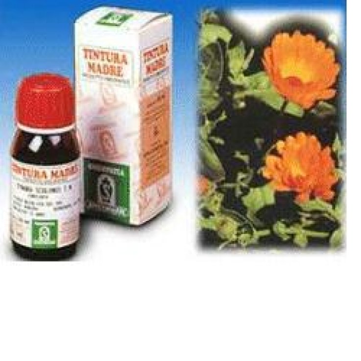 CALENDULA OFF 5 50ML TM SPECCH CALENDULA OFF 5 50ML TM SPECCH