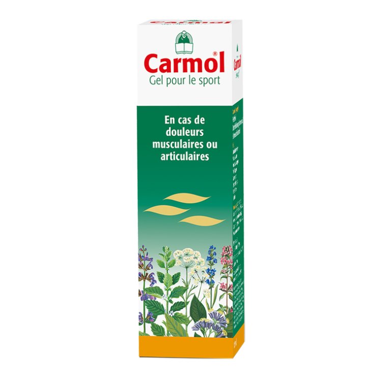 CARMOL GEL MASSAGGIO 80ML