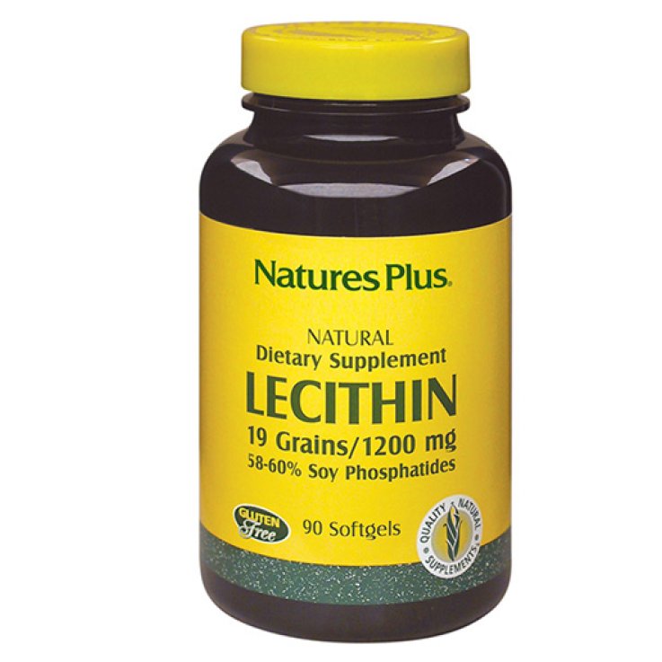LECITINA DI SOIA 1200 MG LECITINA DI SOIA 1200 MG