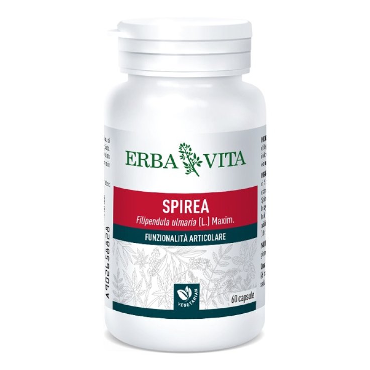 SPIREA ULMARIA 60CPS 400MG SPIREA ULMARIA 60CPS 400MG