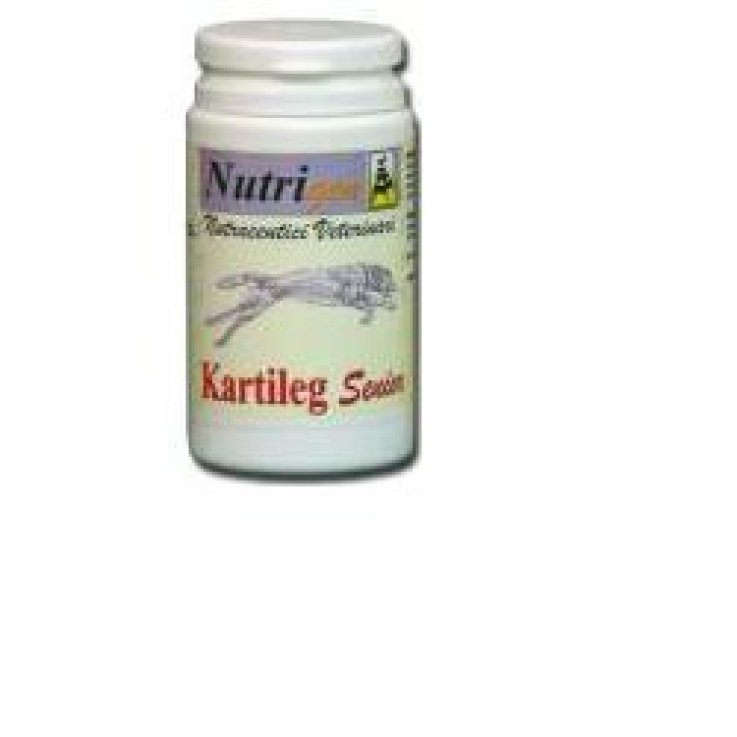 KARTILEG SENIOR 30TAV NUTRIGEN