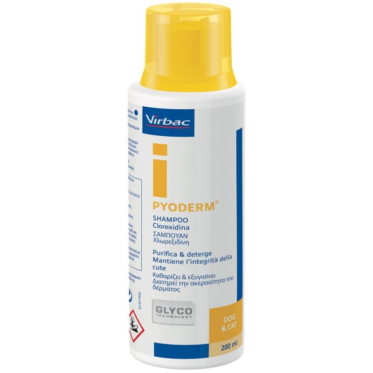 PYODERM SHAMPOO CLOREXIDINA