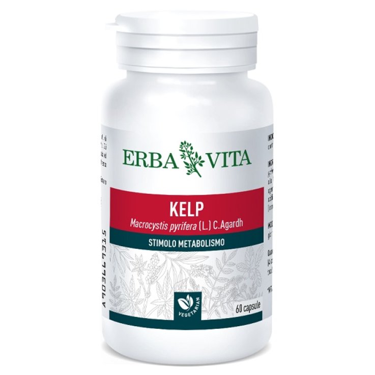 KELP 60CPS 500MG