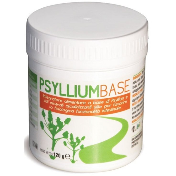 PSYLLIUM BASE POLVERE 120G PSYLLIUM BASE POLVERE 120G
