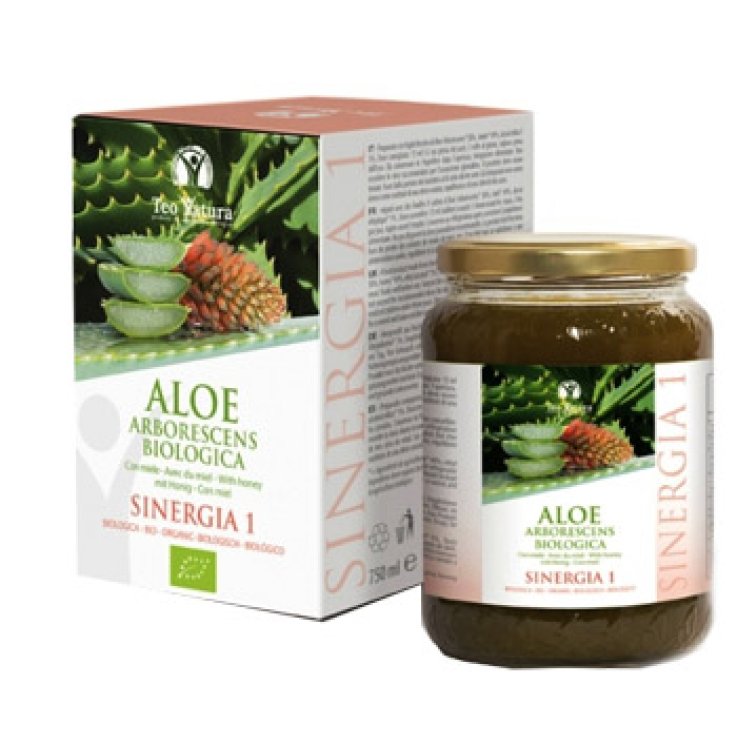 ALOE SINERGIA 1 750ML