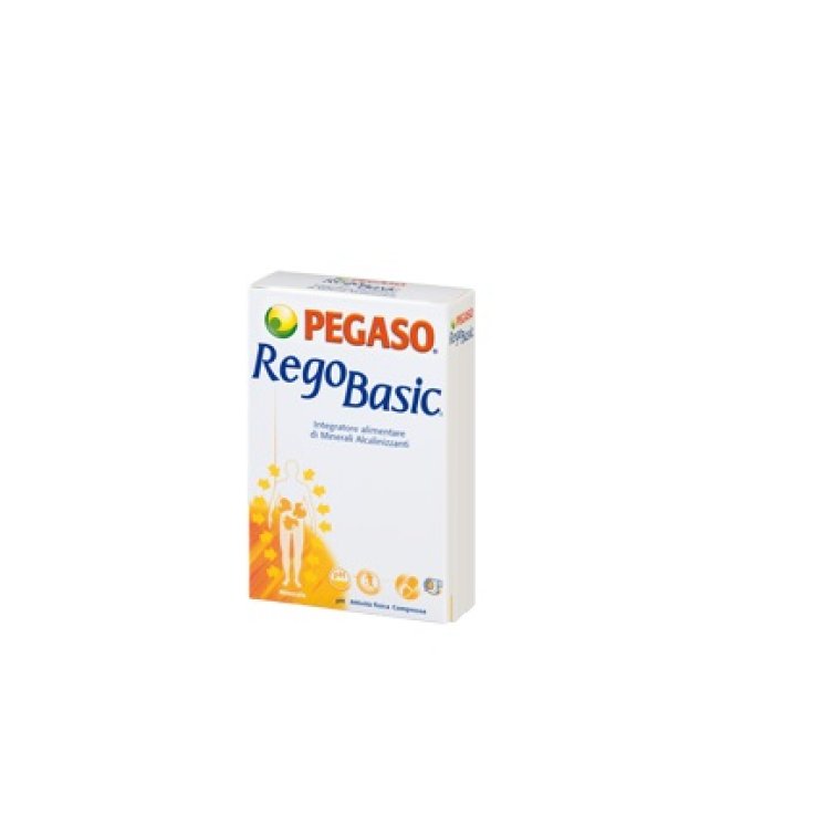 REGOBASIC 12BUST REGOBASIC 12BUST