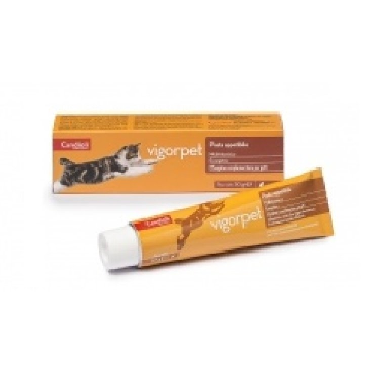 VIGORPET GATTI PASTA 50G VET VIGORPET GATTI PASTA 50G VET