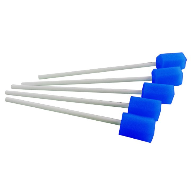 BASTONCINO PULIZ CAVO OR 5PZ FMC