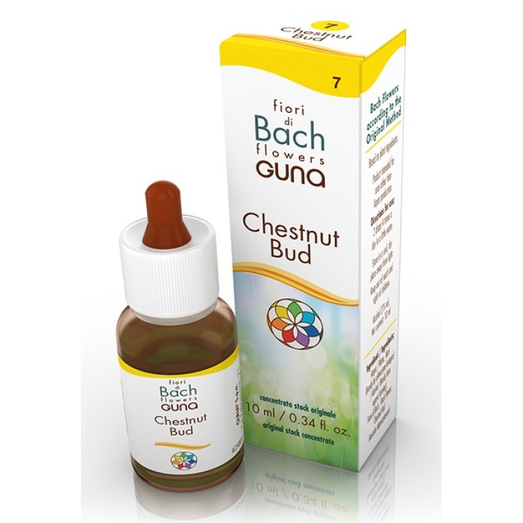 CHESTNUT BUD 7 GTT 10ML BACHGUNA