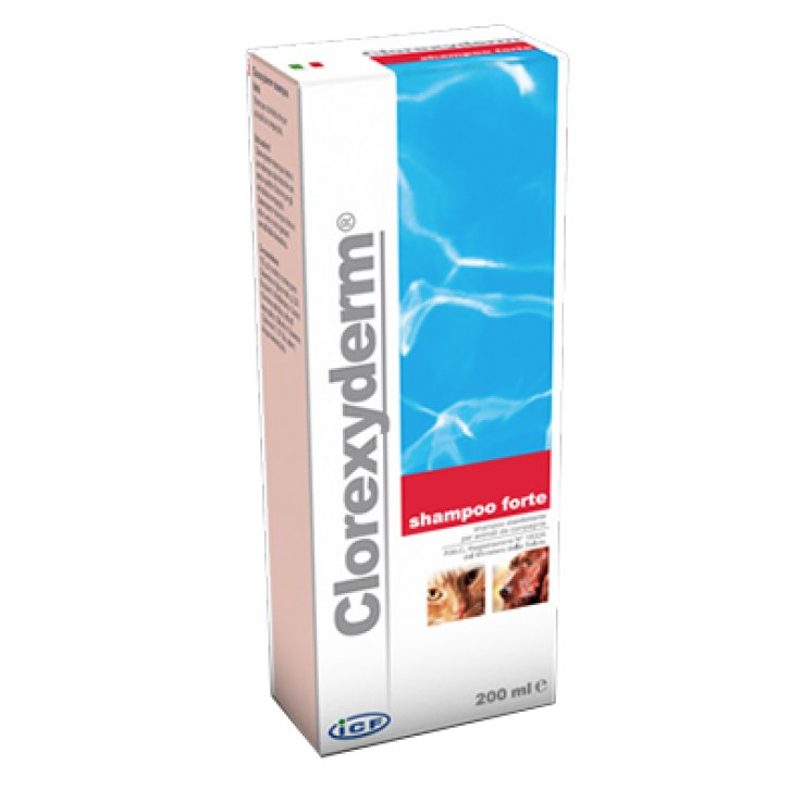 CLOREXYDERM SHAMPOO FORTE200ML