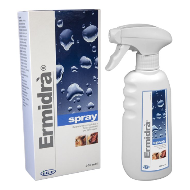ERMIDRA'SPRAY 300ML ERMIDRA'SPRAY 300ML