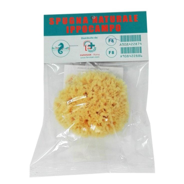SPUGNA NATURALE IPPOCAMPO 6