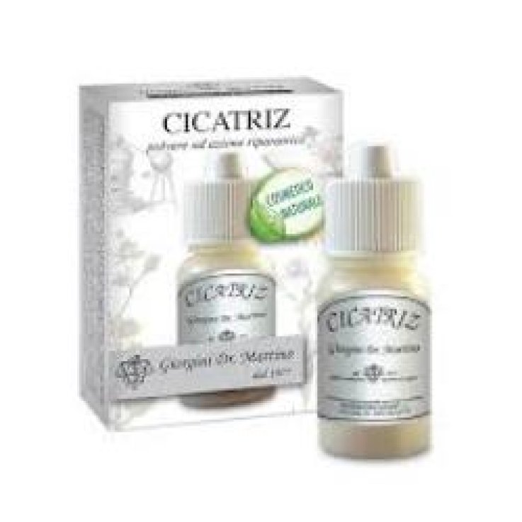 CICATRIZ POLVERE 10G