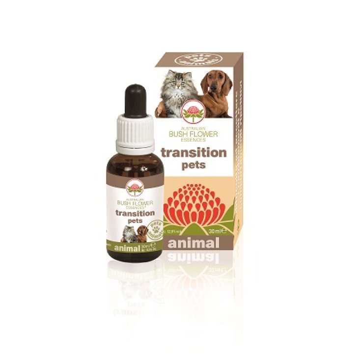 TRANSITION PETS 30ML TRANSITION PETS 30ML