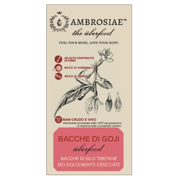 UBERFOOD GOJI BIO 100G