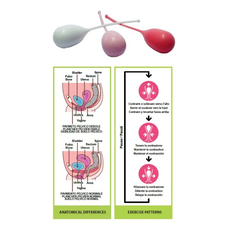 PELVIK KIT 3CONI VAGINALI