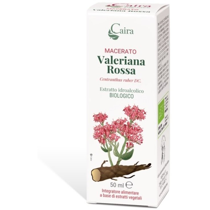 VALERIANA ROSSA MACERATO CAIRA