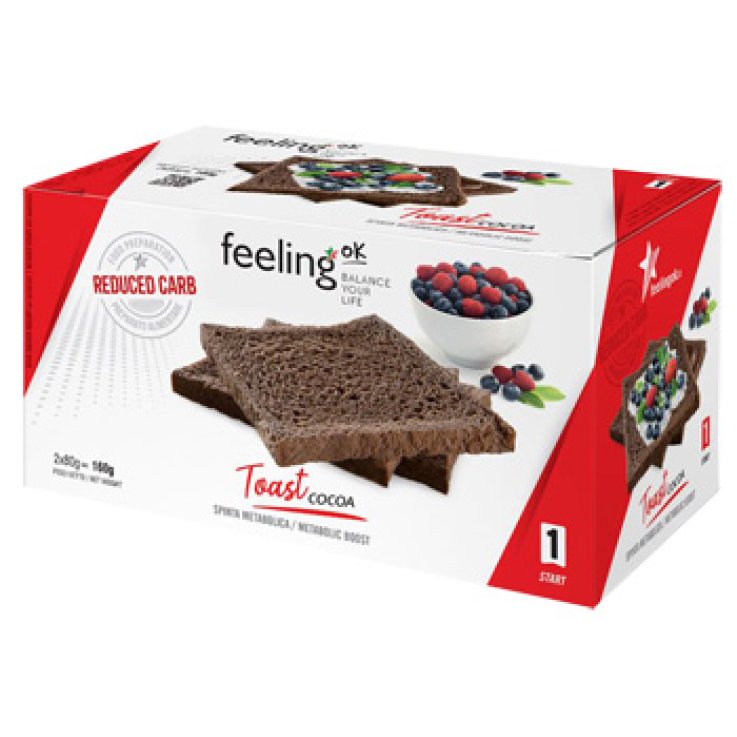 FEELING OK TOAST COCOA START